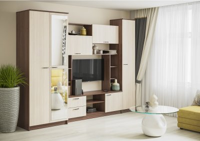 Стенка в гостиную Марта 11 (ЭРА) Ясень Шимо темный / Ясень Шимо светлый