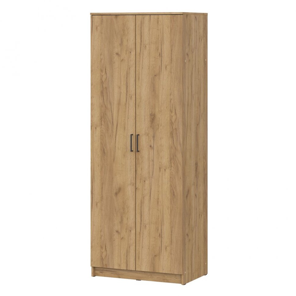 Шкаф распашной ШК 2, Дуб золотой