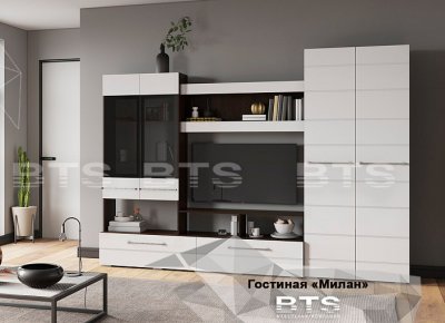 Центральная секция Милан (БТС) Венге