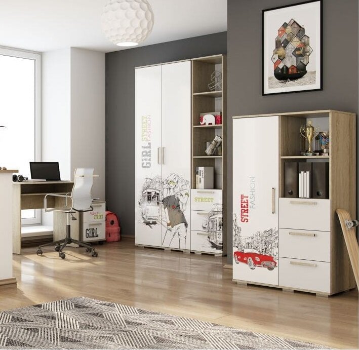 Шкаф-пенал для девочек Сенди ПН-04 БТС STREET GIRL