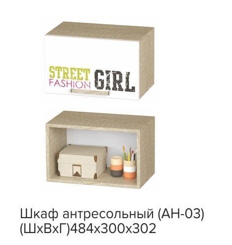 Шкаф антресольный для девочек Сенди АН-03 БТС STREET GIRL