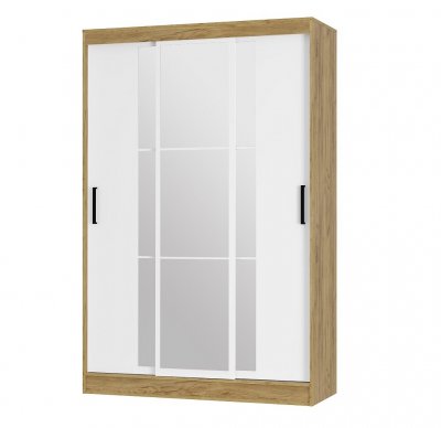 Шкаф-купе Тайм ШКК-03 (Арника)