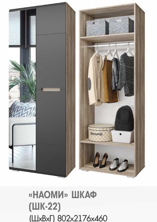 Шкаф 2-х створчатый с зеркалом Наоми ШК-22 (БТС) Графит