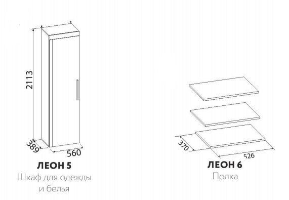 Шкаф для одежды и белья Глазов-мебель Леон 5