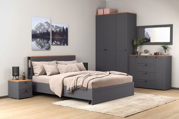 Остин Шкаф для одежды 13.336.02 графит/дуб золотой