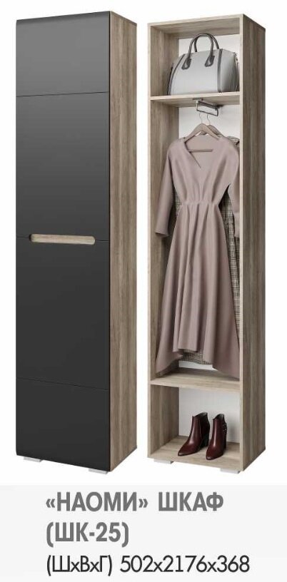 Шкаф-пенал с выдвижной вешалкой ШК-25 Наоми (БТС) Графит