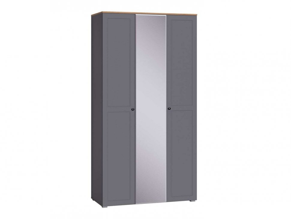 Остин Шкаф для одежды 13.336.03 графит/дуб золотой