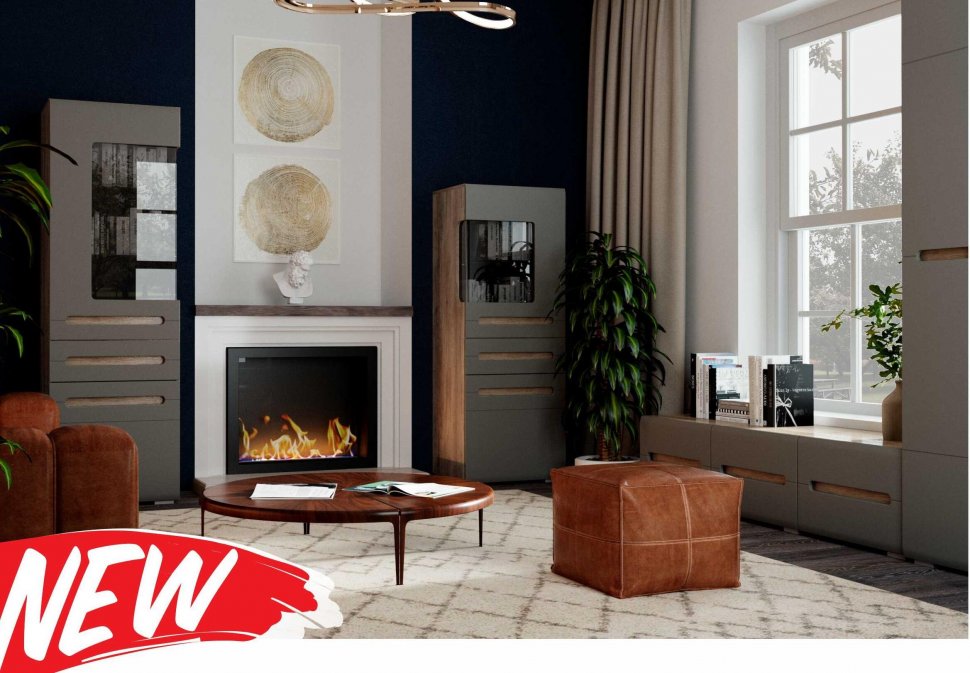 Шкаф-витрина Наоми ШК-24 (БТС) Графит