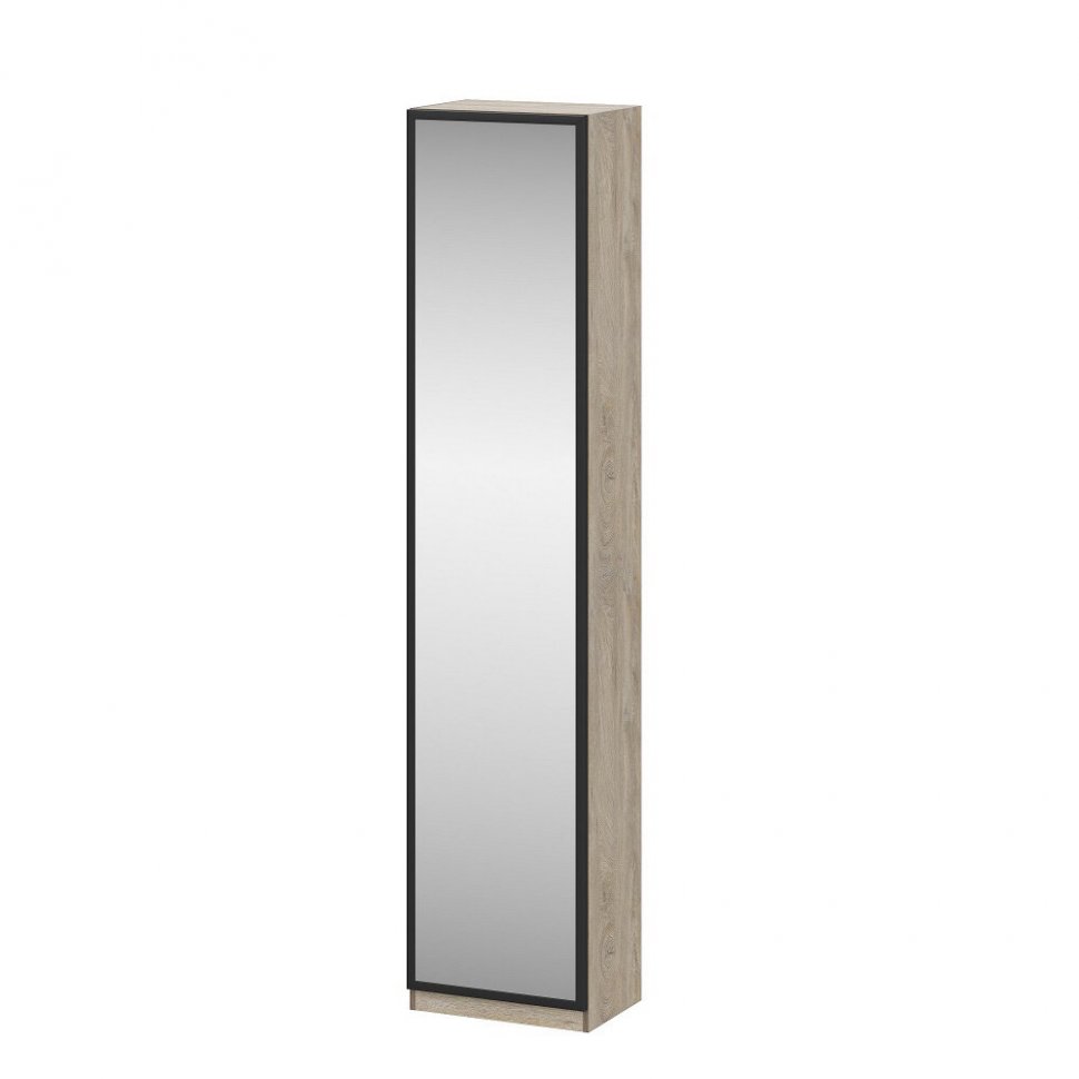 Дверь зеркальная для шкафа Этна СЗ 2236х496