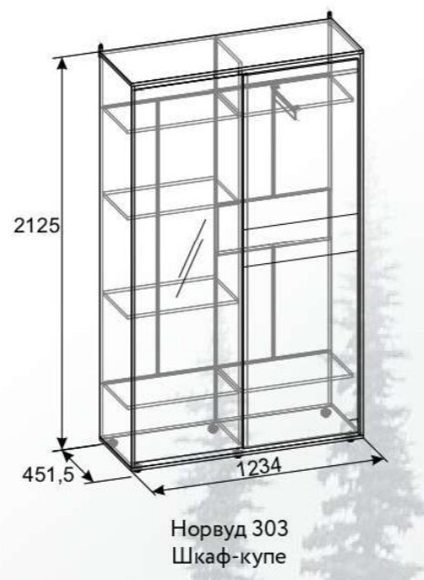 Шкаф-купе Норвуд 303 Глазов-мебель