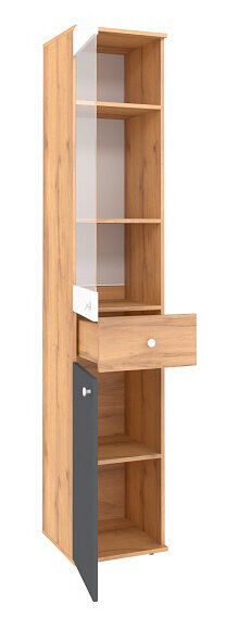 Шкаф-пенал Лойс 82 (Глазов)