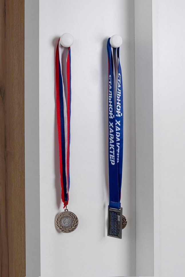 Шкаф МЦН Лойс 85 (Глазов)