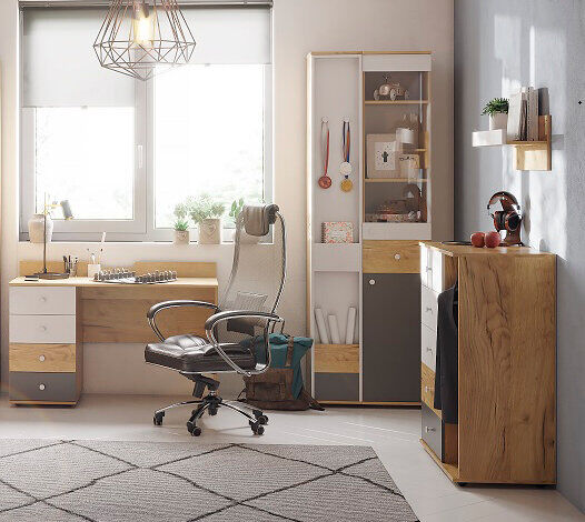 Шкаф МЦН Лойс 85 (Глазов)